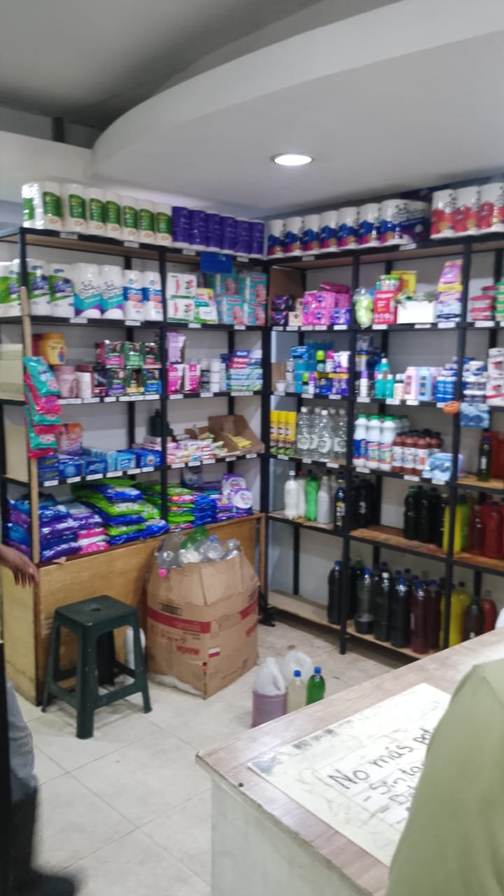 Variedad de Productos de Limpieza